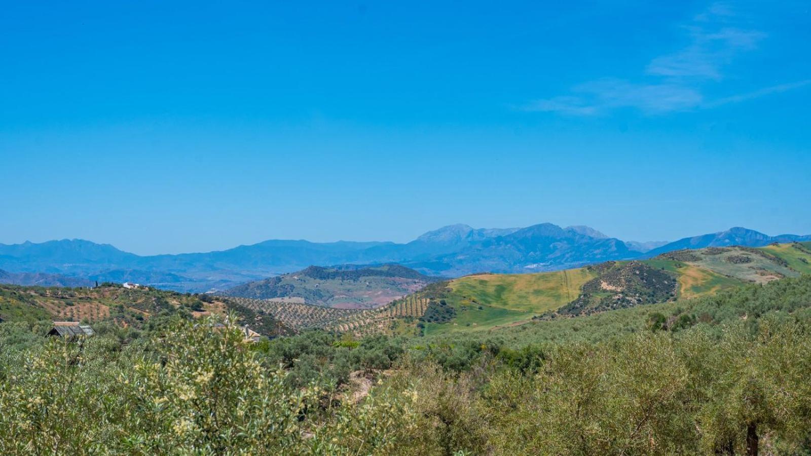 Вилла Alma Del Tejar Antequera La Higuera By Ruralidays Экстерьер фото